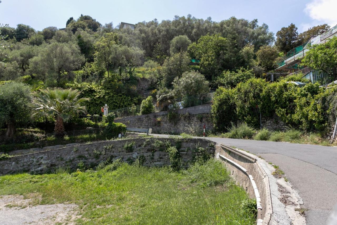 Strada Degli Olandesi - Panoramic Villa By Halldis Camporosso  Extérieur photo